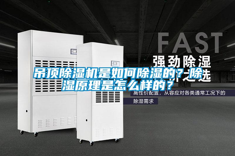 吊頂除濕機是如何除濕的？除濕原理是怎么樣的？