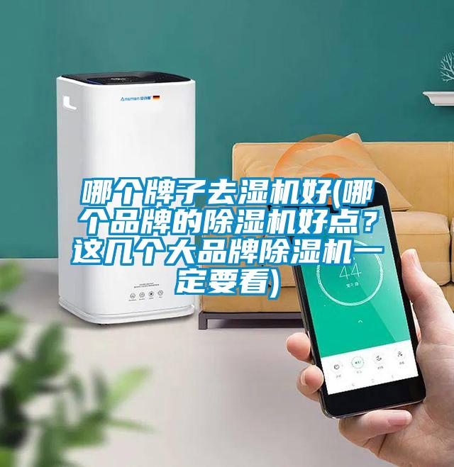 哪個牌子去濕機好(哪個品牌的除濕機好點？這幾個大品牌除濕機一定要看)