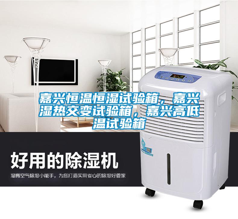 嘉興恒溫恒濕試驗(yàn)箱，嘉興濕熱交變?cè)囼?yàn)箱，嘉興高低溫試驗(yàn)箱