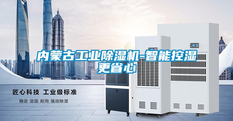 內蒙古工業除濕機-智能控濕更省心