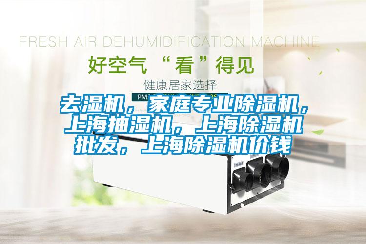 去濕機，家庭專業除濕機，上海抽濕機，上海除濕機批發，上海除濕機價錢
