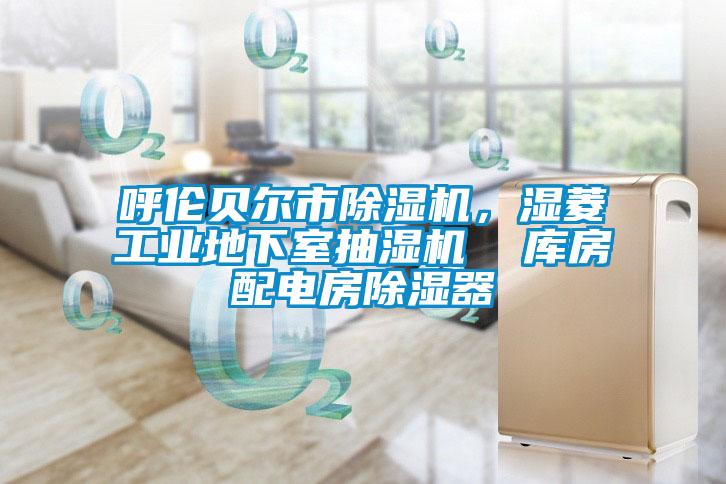 呼倫貝爾市除濕機(jī)，濕菱工業(yè)地下室抽濕機(jī)  庫房配電房除濕器
