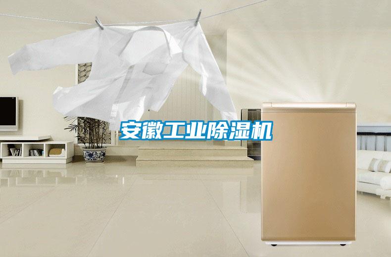 安徽工業除濕機