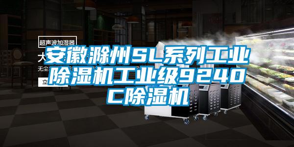 安徽滁州SL系列工業除濕機工業級9240C除濕機