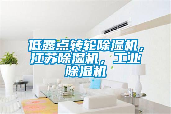 低露點轉輪除濕機，江蘇除濕機，工業除濕機