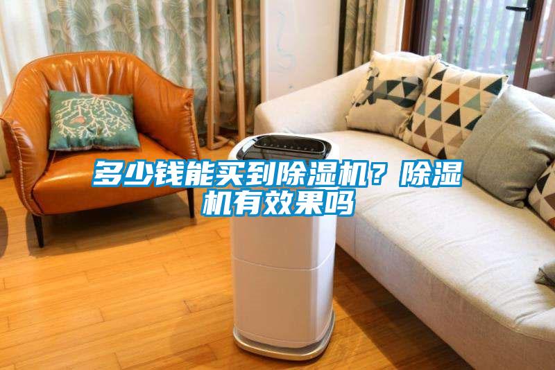 多少錢(qián)能買(mǎi)到除濕機(jī)？除濕機(jī)有效果嗎