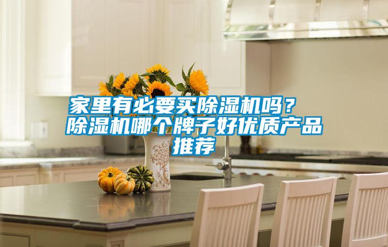 家里有必要買除濕機嗎？ 除濕機哪個牌子好優質產品推薦