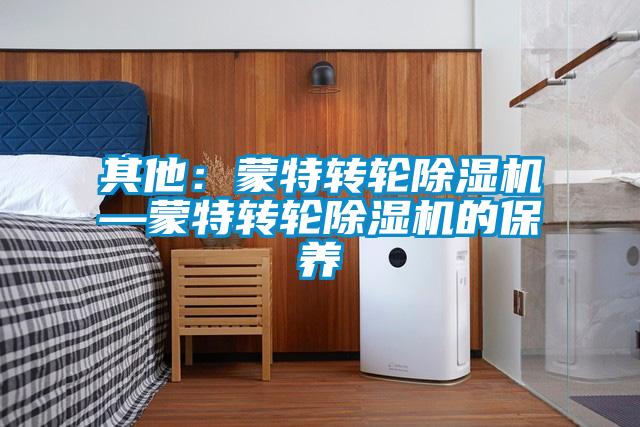 其他：蒙特轉輪除濕機—蒙特轉輪除濕機的保養