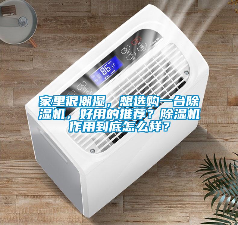 家里很潮濕，想選購一臺除濕機，好用的推薦？除濕機作用到底怎么樣？