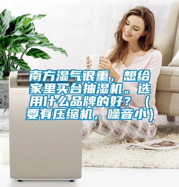 南方濕氣很重,想給家里買臺抽濕機。選用什么品牌的好?(要有壓縮機,噪音小)