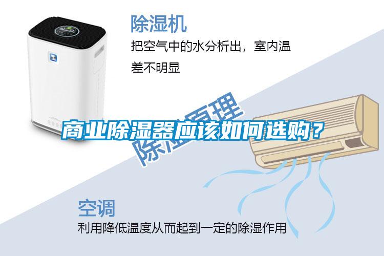 商業除濕器應該如何選購？