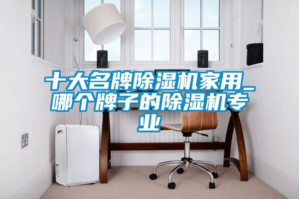 十大名牌除濕機家用_哪個牌子的除濕機專業