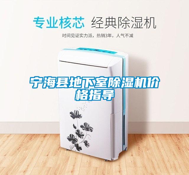 寧?？h地下室除濕機價格指導
