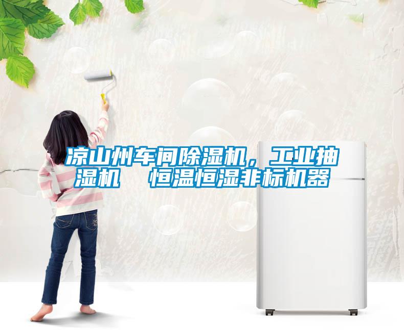 涼山州車間除濕機，工業抽濕機  恒溫恒濕非標機器