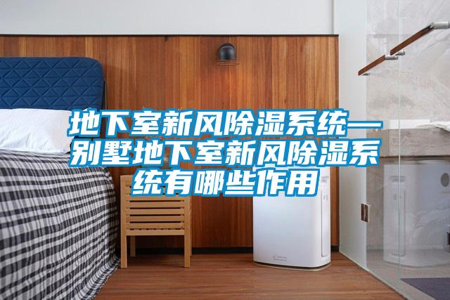地下室新風除濕系統—別墅地下室新風除濕系統有哪些作用