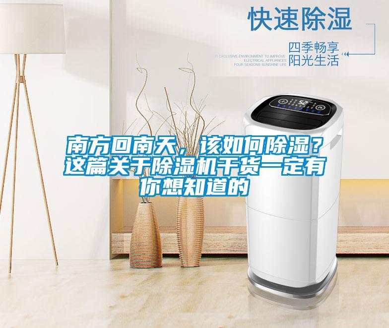 南方回南天，該如何除濕？這篇關(guān)于除濕機(jī)干貨一定有你想知道的