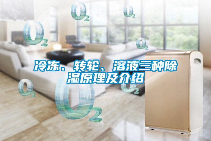冷凍、轉(zhuǎn)輪、溶液三種除濕原理及介紹