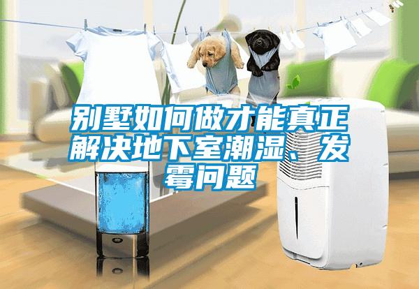 別墅如何做才能真正解決地下室潮濕、發(fā)霉問題