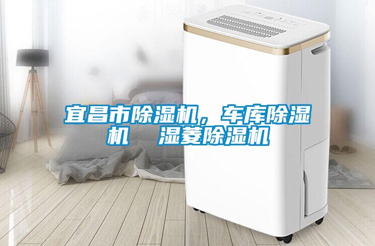 宜昌市除濕機，車庫除濕機  濕菱除濕機