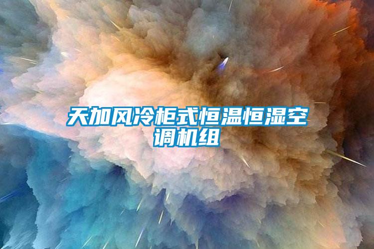 天加風冷柜式恒溫恒濕空調機組
