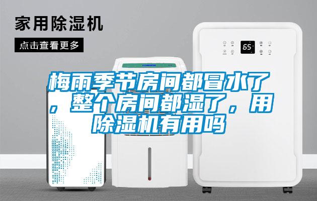 梅雨季節房間都冒水了，整個房間都濕了，用除濕機有用嗎