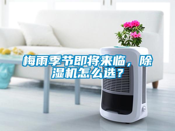 梅雨季節即將來臨，除濕機怎么選？