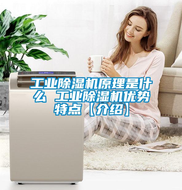 工業除濕機原理是什么 工業除濕機優勢特點【介紹】