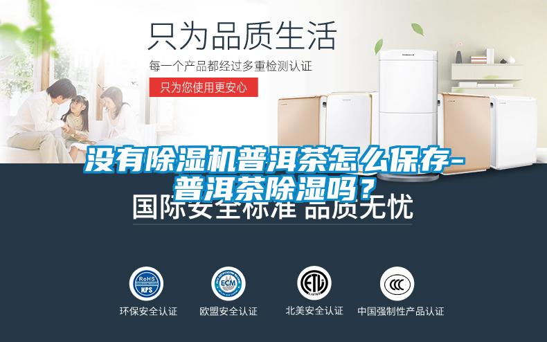沒有除濕機普洱茶怎么保存-普洱茶除濕嗎？