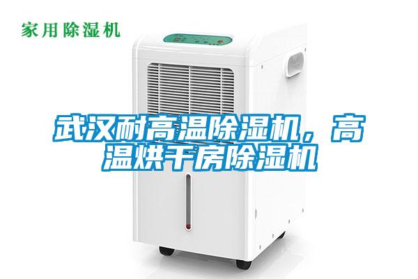 武漢耐高溫除濕機(jī)，高溫烘干房除濕機(jī)
