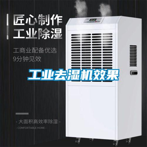 工業去濕機效果