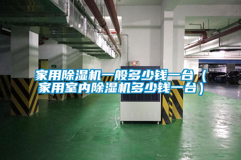 家用除濕機一般多少錢一臺（家用室內除濕機多少錢一臺）