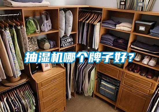 抽濕機(jī)哪個牌子好?