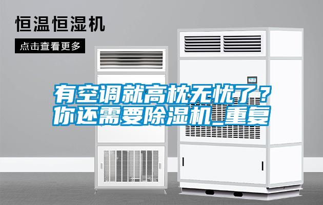 有空調(diào)就高枕無(wú)憂了？你還需要除濕機(jī)_重復(fù)