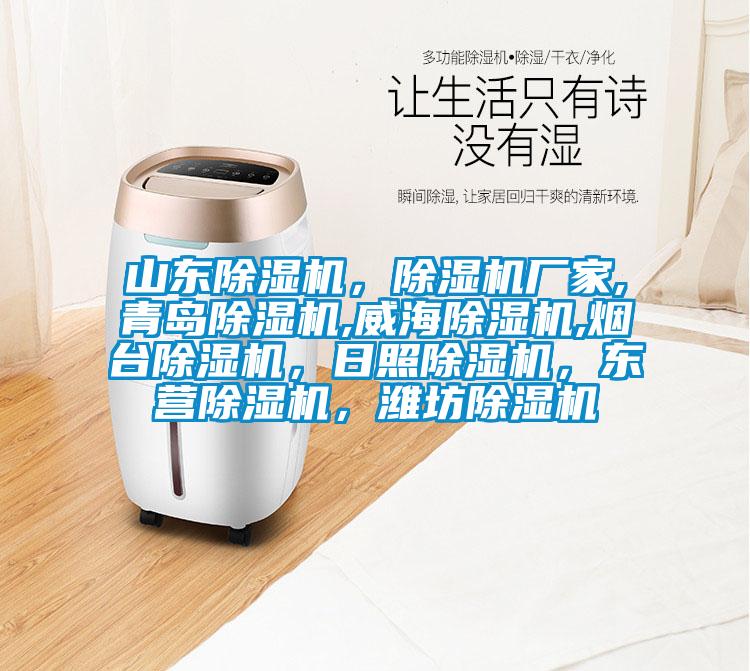山東除濕機,除濕機廠家,青島除濕機,威海除濕機,煙臺除濕機,日照除濕機,東營除濕機,濰坊除濕機