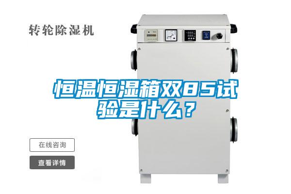 恒溫恒濕箱雙85試驗(yàn)是什么？