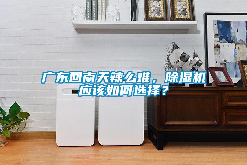廣東回南天辣么難，除濕機(jī)應(yīng)該如何選擇？