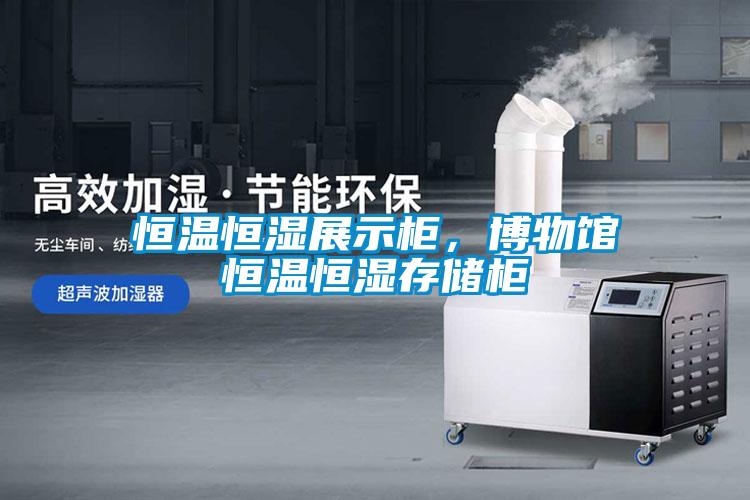 恒溫恒濕展示柜，博物館恒溫恒濕存儲(chǔ)柜