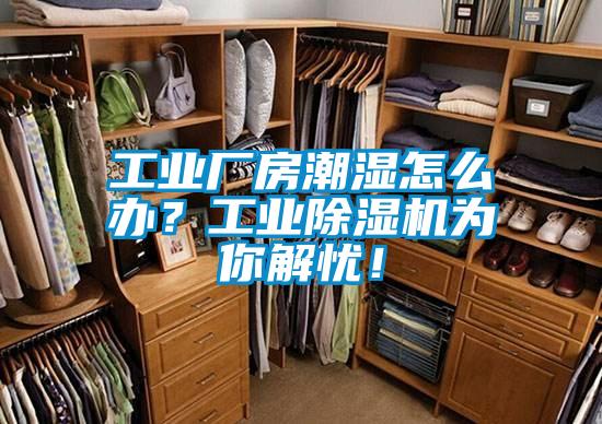 工業廠房潮濕怎么辦？工業除濕機為你解憂！