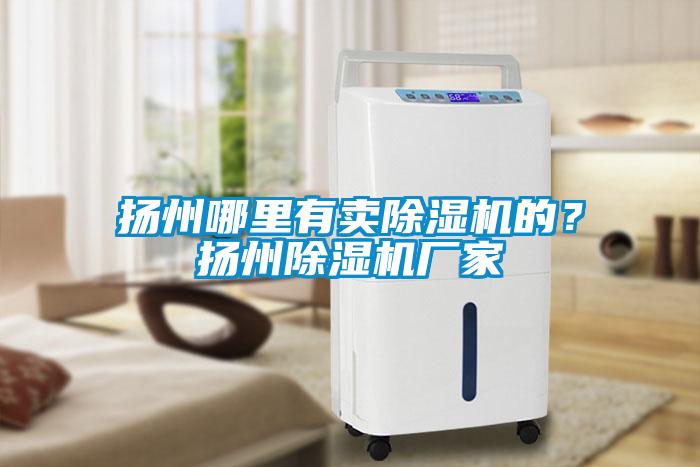 揚(yáng)州哪里有賣(mài)除濕機(jī)的？揚(yáng)州除濕機(jī)廠(chǎng)家