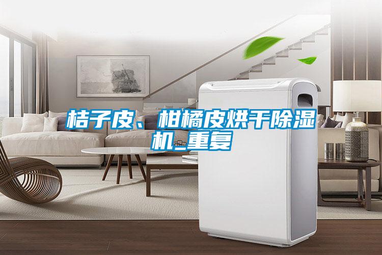 桔子皮、柑橘皮烘干除濕機_重復