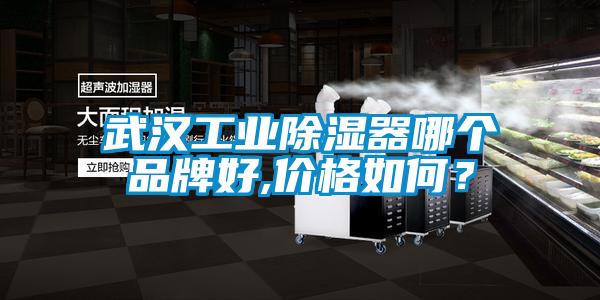 武漢工業除濕器哪個品牌好,價格如何？