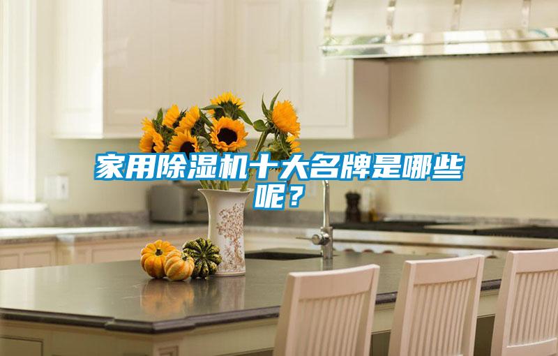 家用除濕機十大名牌是哪些呢？