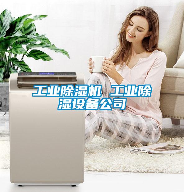 工業除濕機 工業除濕設備公司