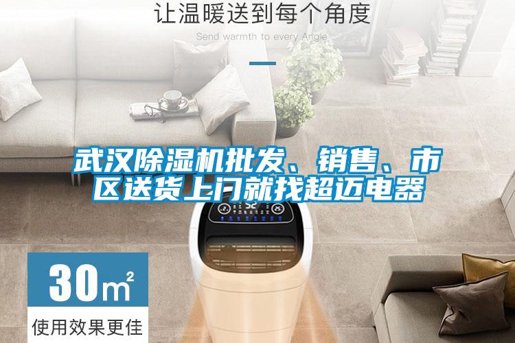 武漢除濕機(jī)批發(fā)、銷售、市區(qū)送貨上門就找超邁電器