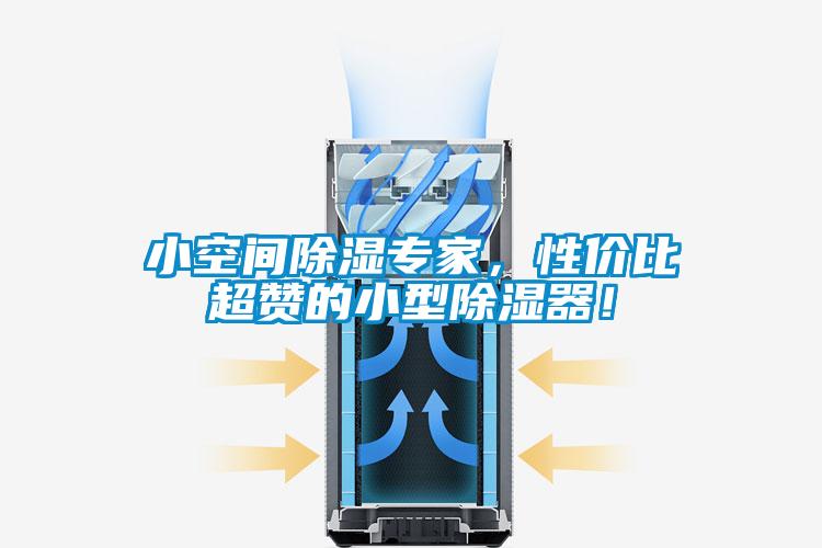 小空間除濕專家，性價比超贊的小型除濕器！
