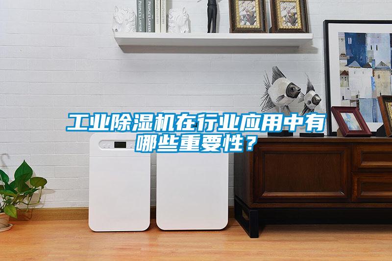 工業除濕機在行業應用中有哪些重要性？
