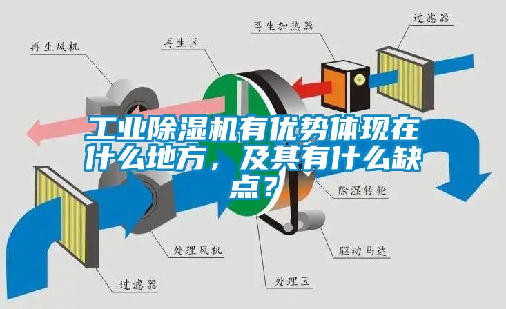 工業(yè)除濕機(jī)有優(yōu)勢體現(xiàn)在什么地方，及其有什么缺點(diǎn)？