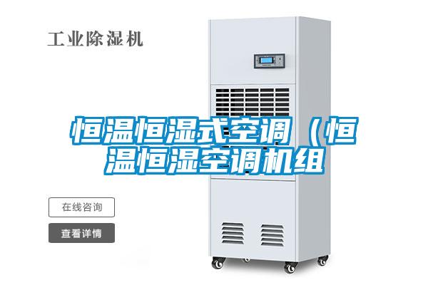恒溫恒濕式空調（恒溫恒濕空調機組
