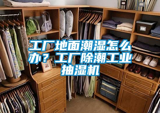 工廠地面潮濕怎么辦？工廠除潮工業(yè)抽濕機