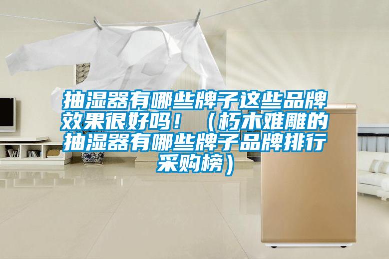 抽濕器有哪些牌子這些品牌效果很好嗎！（朽木難雕的抽濕器有哪些牌子品牌排行采購(gòu)榜）